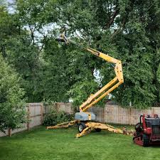 Seasonal Cleanup (Spring/Fall) in Park Rapids, MN